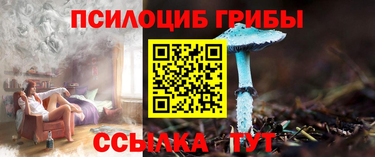 Галлюциногенные грибы мицелий Вязьма